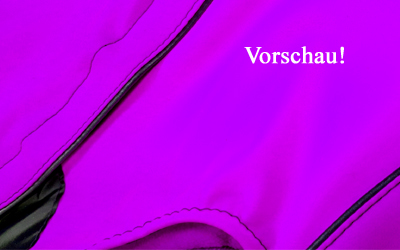 iqo Reflektor-Sicherheitsweste Light (Mesh-Innenseite), violett iqo Reflektor-Sicherheitsweste Light (Mesh-Innenseite), violett