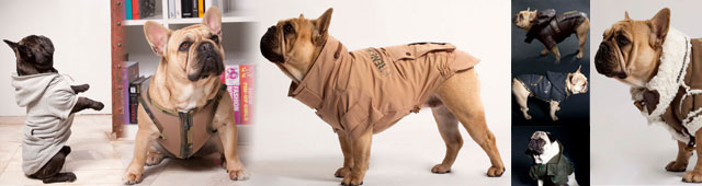 Hundebekleidung f. Mops, Bulldoggen, Frenchies & Co.