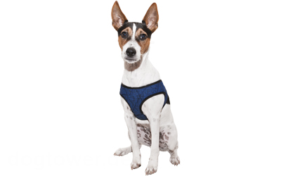 Aqua Cool Keeper Cooling Comfy Harness, pacific blau Aqua Cool Keeper Cooling Comfy Harness, pacific blau