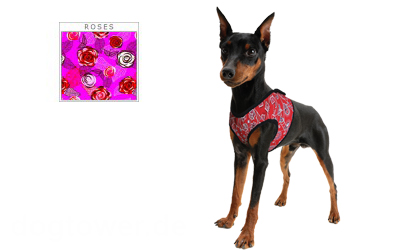 Aqua Cool Keeper Cooling Comfy Harness, roses Aqua Cool Keeper Cooling Comfy Harness, roses