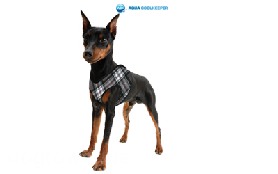 Aqua Cool Keeper Cooling Comfy Harness, scottish grey Aqua Cool Keeper Cooling Comfy Harness, scottish grey