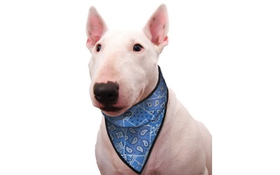 Aqua Coolkeeper Cooling Hunde Bandana, blue western Aqua Coolkeeper Cooling Hunde Bandana, blue western