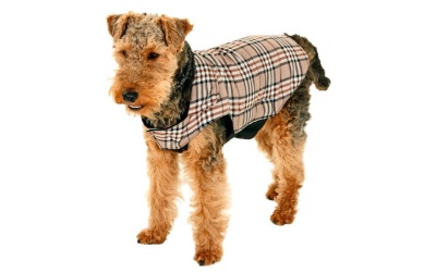 Karlie Hundemantel English Style mit Bauchschutz aus TEFLONŽ Karlie Hundemantel English Style mit Bauchschutz aus TEFLONŽ