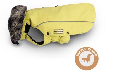 Wolters Winterjacke Amundsen für Dackel limone Wolters Winterjacke Amundsen für Dackel limone
