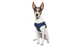 Aqua Cool Keeper Cooling Comfy Harness, pacific blau