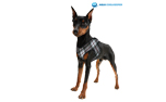 Aqua Cool Keeper Cooling Comfy Harness, scottish grey
