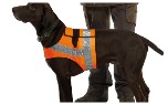 Farmland Hunde Sicherheitsweste, orange