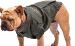 Hunde- Regenjacke Baleren