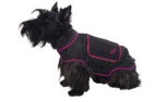 Falt- Hundejacke Pocket, schwarz/pink