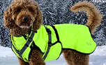 IQO VX Softshel Hundejacke, neongelb