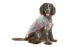 Karlie Regenmantel Classic fr Hunde