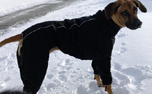 Hurtta Casual Stepp Hundeoverall, schwarz