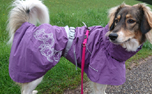 Hurtta Drizzle Coat Hundejacke, violett