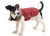 Hundemantel Parka, weinrot