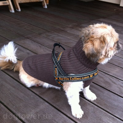 Blau und Gelb Cara Mia Dogwear Hunde-Fleece-Weste Größe S Pullover für kleine Hunderassen extra dick